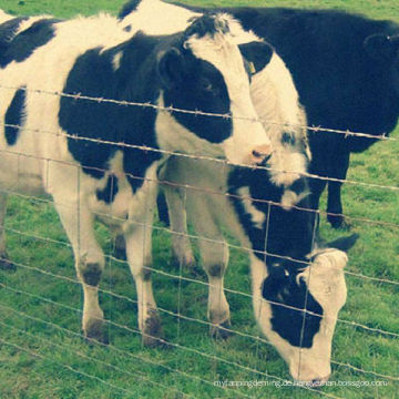 Fabrik Direktverkauf galvanisierte Farm Wache Grassland Field Fence